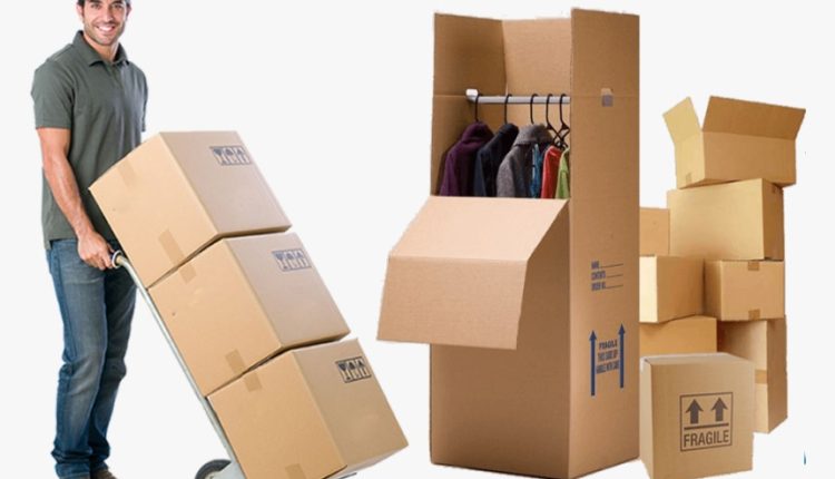 کارتن رگل دار برای لباس