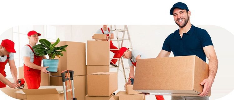 اسباب کشی در زمستان