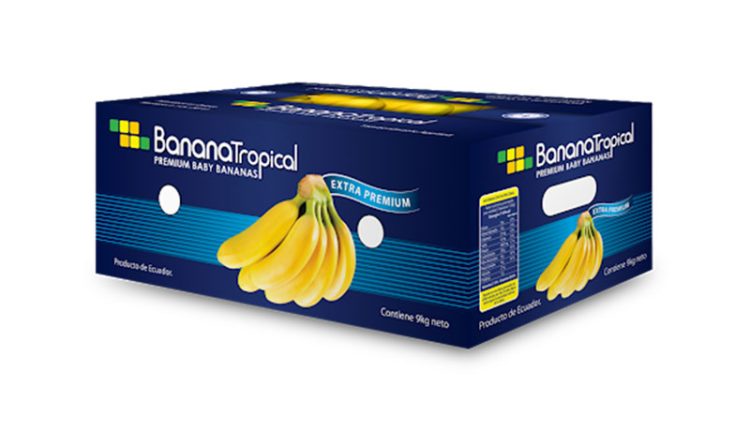 قیمت کارتن موزی دست دوم